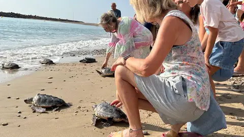 La Fundación Azul Marino devuelve al mar diez tortugas nacidas en Almassora hace un año La Fundación Azul Marino devuelve al mar diez tortugas nacidas en Almassora hace un año
