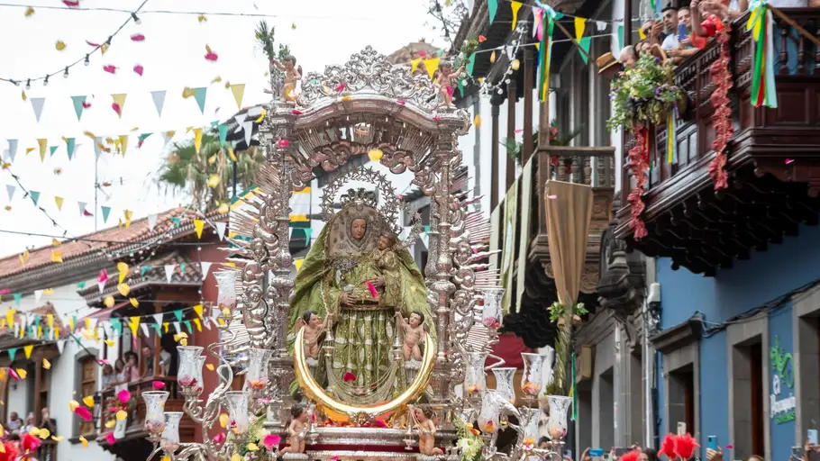 Procesión de la Virgen del Pino Procesión de la Virgen del Pino