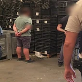 Interceptados más de 1.200 kilos de cocaína oculta en un cargamento de cocos de un camión Interceptados más de 1.200 kilos de cocaína oculta en un cargamento de cocos de un camión
