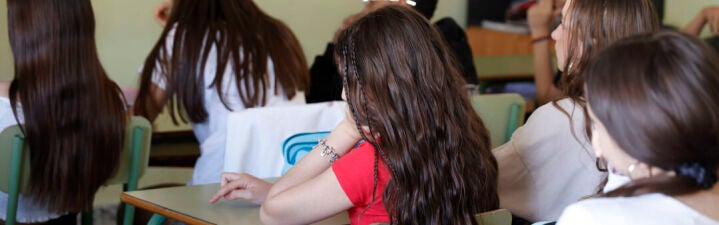 ¿Cree que el fracaso de España en el informe PISA se debe a...
