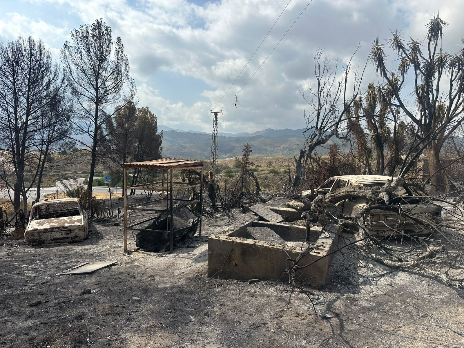 Suben a 15 los fallecidos en el incendio de Los Gallardos Suben a 15 los fallecidos en el incendio de Los Gallardos