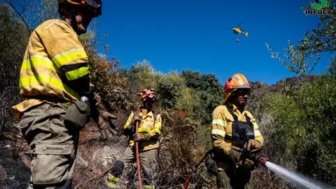 Efectivos del plan Infoex intervenían en 5 incendios forestales en Extremadura durante este miércoles Efectivos del plan Infoex intervenían en 5 incendios forestales en Extremadura durante este miércoles