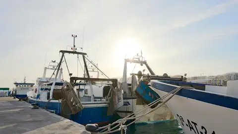 La Cofradía de Pescadores de Villajoyosa alerta de que la subida del gasóleo lleva a la flota a trabajar a pérdidas La Cofradía de Pescadores de Villajoyosa alerta de que la subida del gasóleo lleva a la flota a trabajar a pérdidas