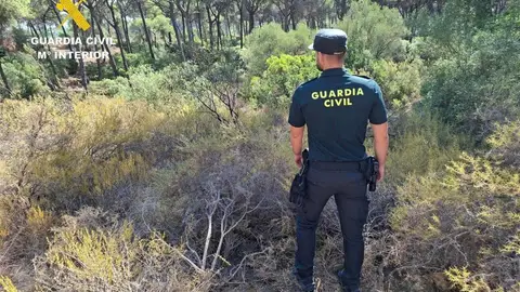 Rescatado con vida en Aznalcázar un hombre que llevaba 18 horas herido y sin poder pedir auxilio Rescatado con vida en Aznalcázar un hombre que llevaba 18 horas herido y sin poder pedir auxilio