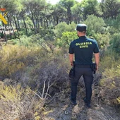 Rescatado con vida en Aznalcázar un hombre que llevaba 18 horas herido y sin poder pedir auxilio Rescatado con vida en Aznalcázar un hombre que llevaba 18 horas herido y sin poder pedir auxilio