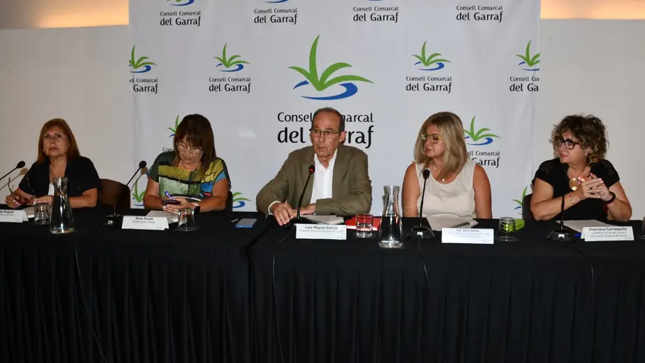 Presentació dades dependència Presentació dades dependència