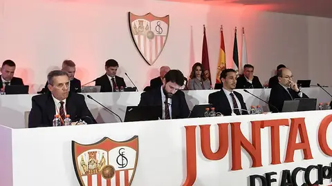 Más de 20 grupos interesados en comprar el Sevilla Más de 20 grupos interesados en comprar el Sevilla