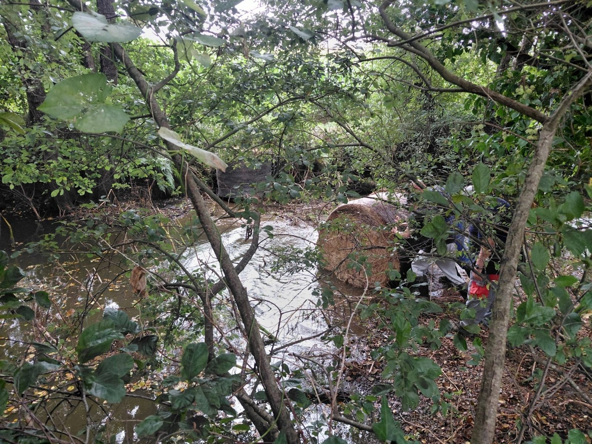 Santiago limita el consumo de agua ante el riesgo de que un vertido de purín llegue al Tambre Santiago limita el consumo de agua ante el riesgo de que un vertido de purín llegue al Tambre