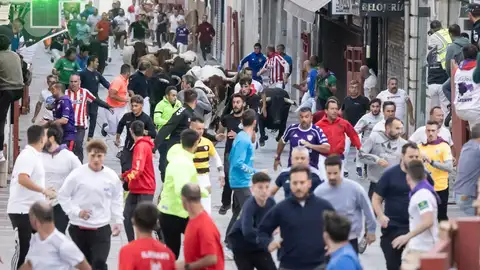 El primer encierro de Guadalajara ha sido totalmente limpio y vistoso El primer encierro de Guadalajara ha sido totalmente limpio y vistoso