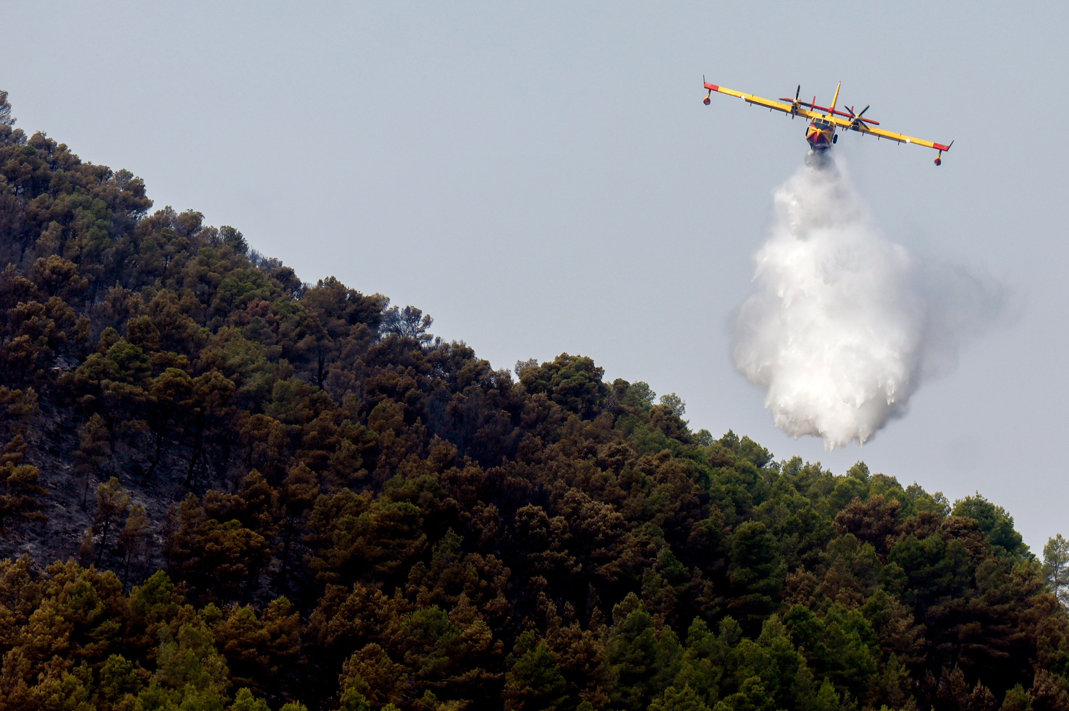 El viento condiciona la extinción del incendio de Tuéjar, que ha arrasado 880 hectáreas El viento condiciona la extinción del incendio de Tuéjar, que ha arrasado 880 hectáreas