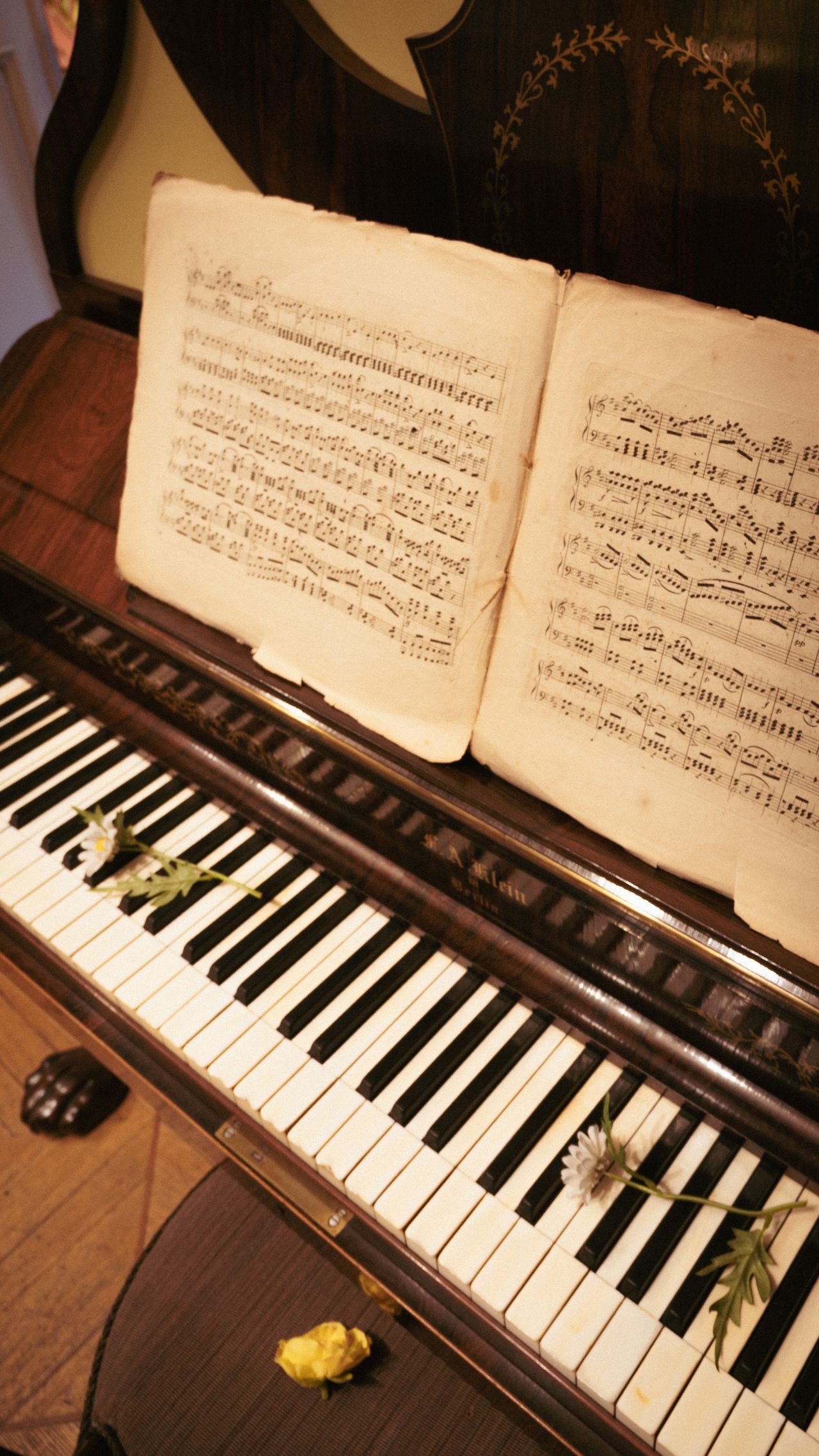 La hora random: Clavecín, el rey de la música barroca que cayó en el olvido La hora random: Clavecín, el rey de la música barroca que cayó en el olvido