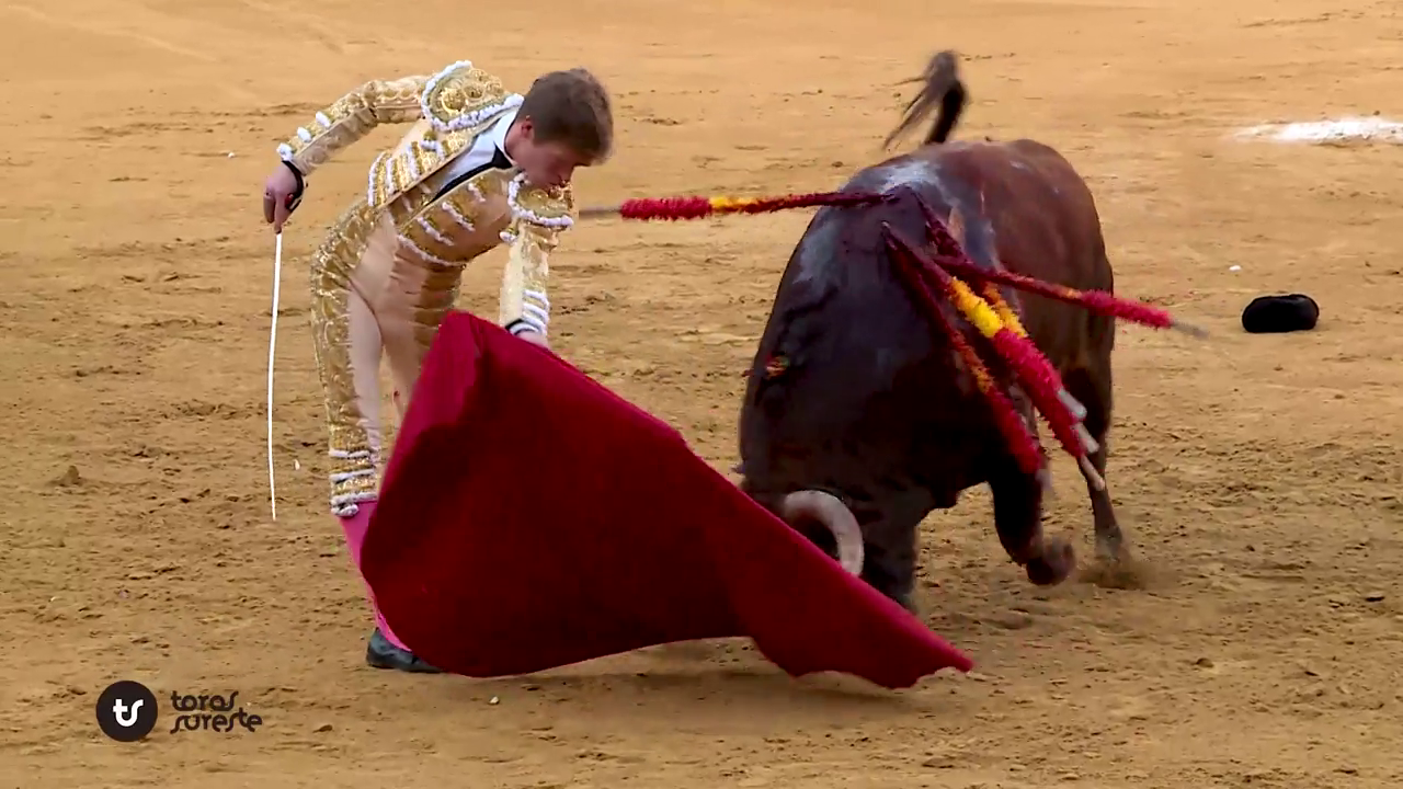 Marco Pérez triunfa en una tarde grande para el toreo en La Condomina Marco Pérez triunfa en una tarde grande para el toreo en La Condomina