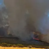 Incendio en la Dehesa Boyal de Puertollano Incendio en la Dehesa Boyal de Puertollano