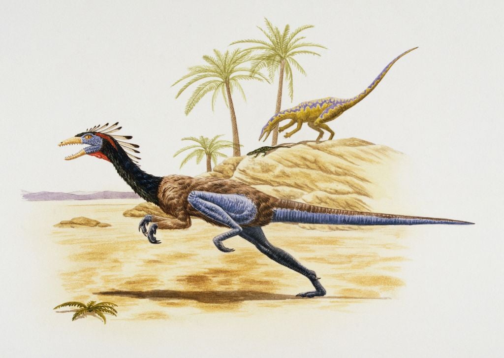 La Brújula de la Ciencia: Dinosaurios con plumas y el camino hacia el vuelo