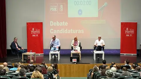 Primarias del psoe de Gijón Primarias del psoe de Gijón