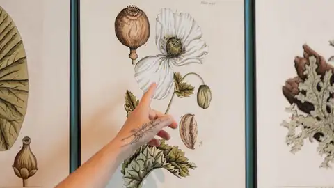 l CDAN organiza cinco talleres para despedir la exposición ‘Ellas ilustran botánica’ l CDAN organiza cinco talleres para despedir la exposición ‘Ellas ilustran botánica’