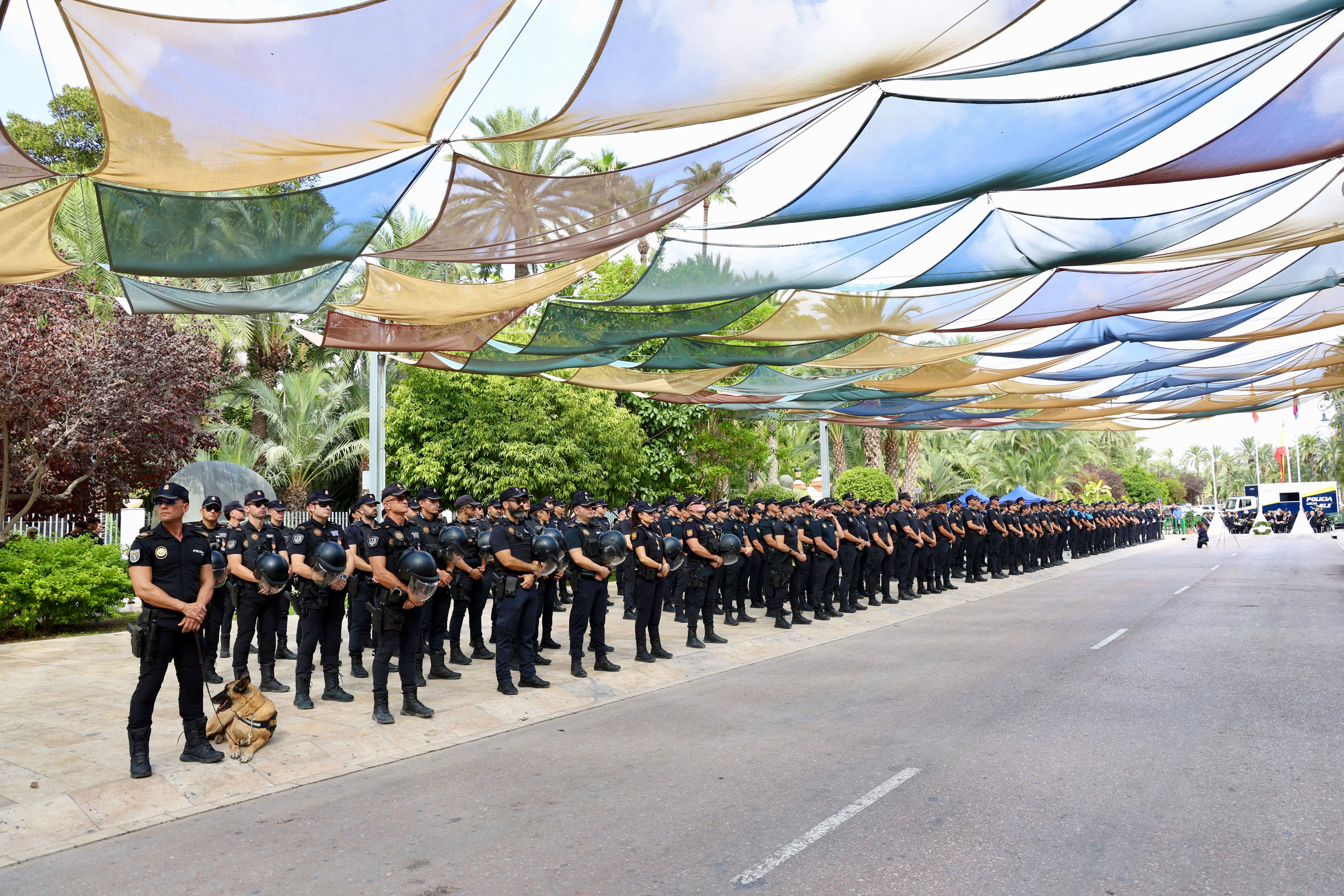 La Policía Local de Elche celebra la festividad de su patrón San Rafael con la entrega de cerca de 200 distinciones La Policía Local de Elche celebra la festividad de su patrón San Rafael con la entrega de cerca de 200 distinciones