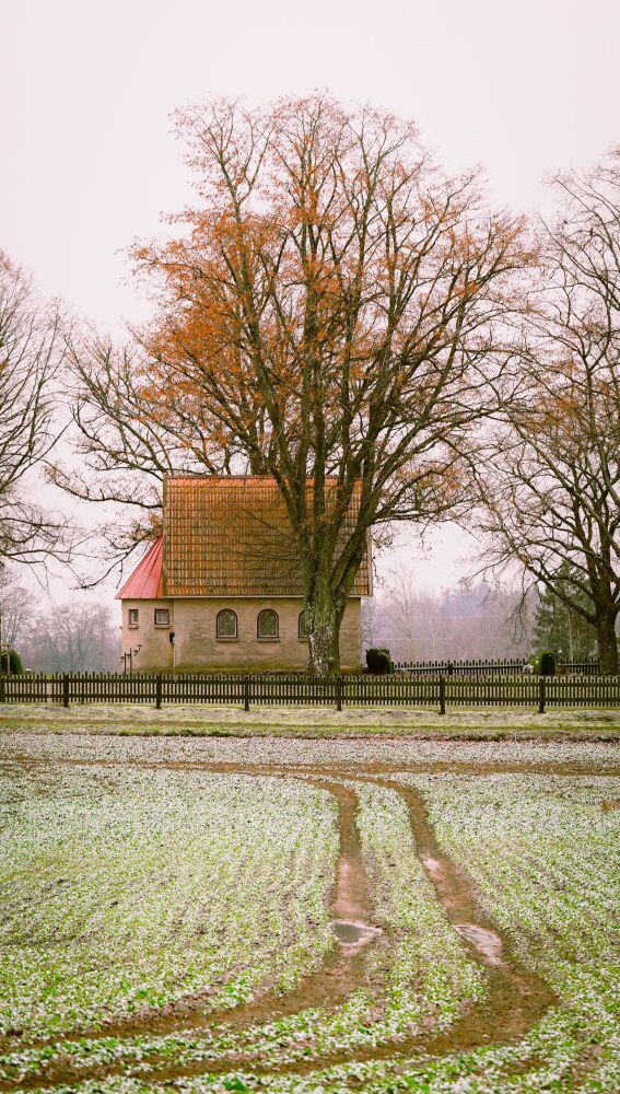 Otoño en Estonia