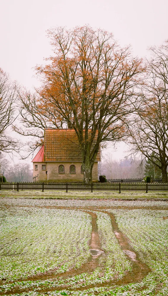 Otoño en Estonia Otoño en Estonia