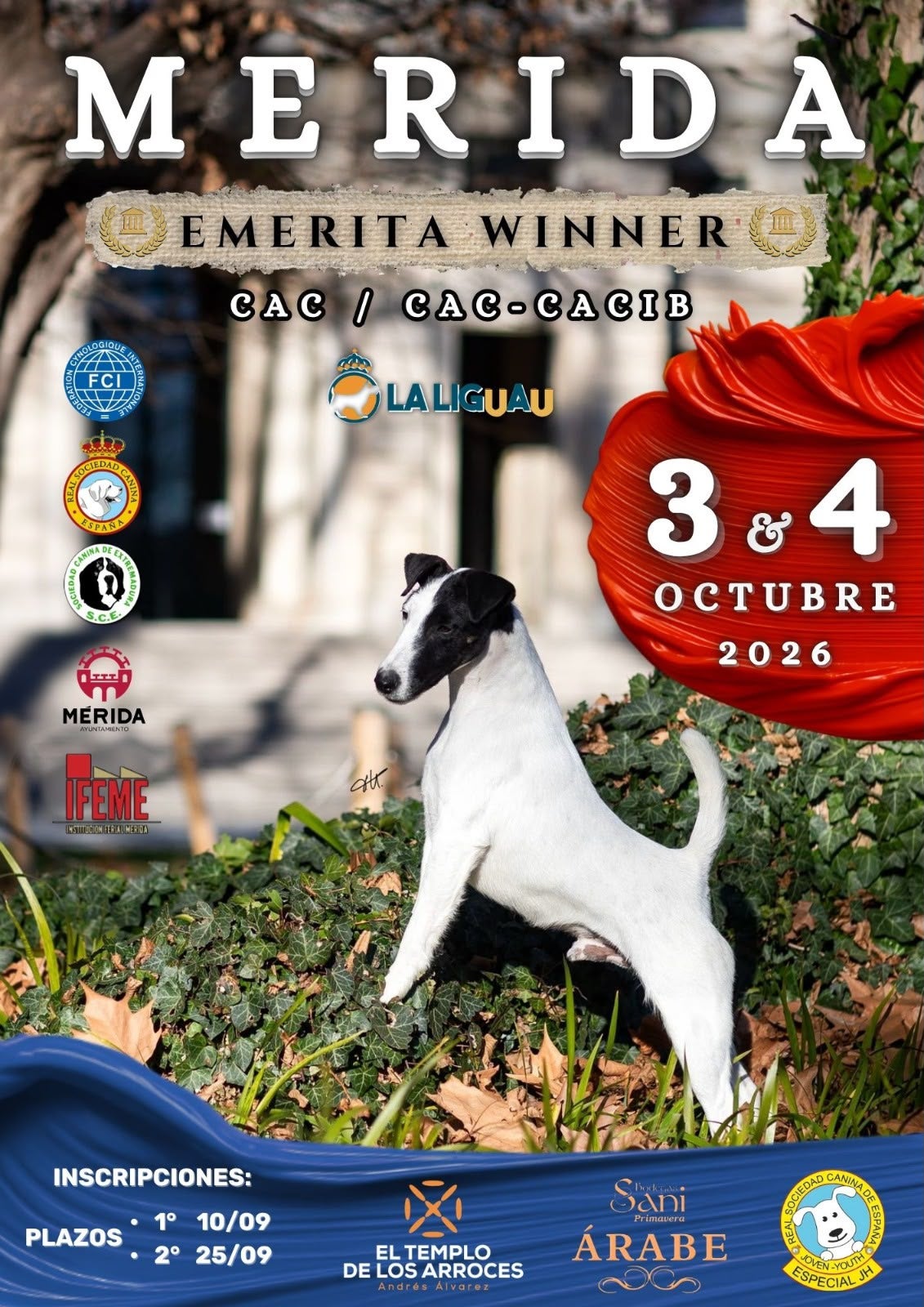 Más de 800 perros participarán este fin de semana en la Exposición Canina de Mérida Más de 800 perros participarán este fin de semana en la Exposición Canina de Mérida