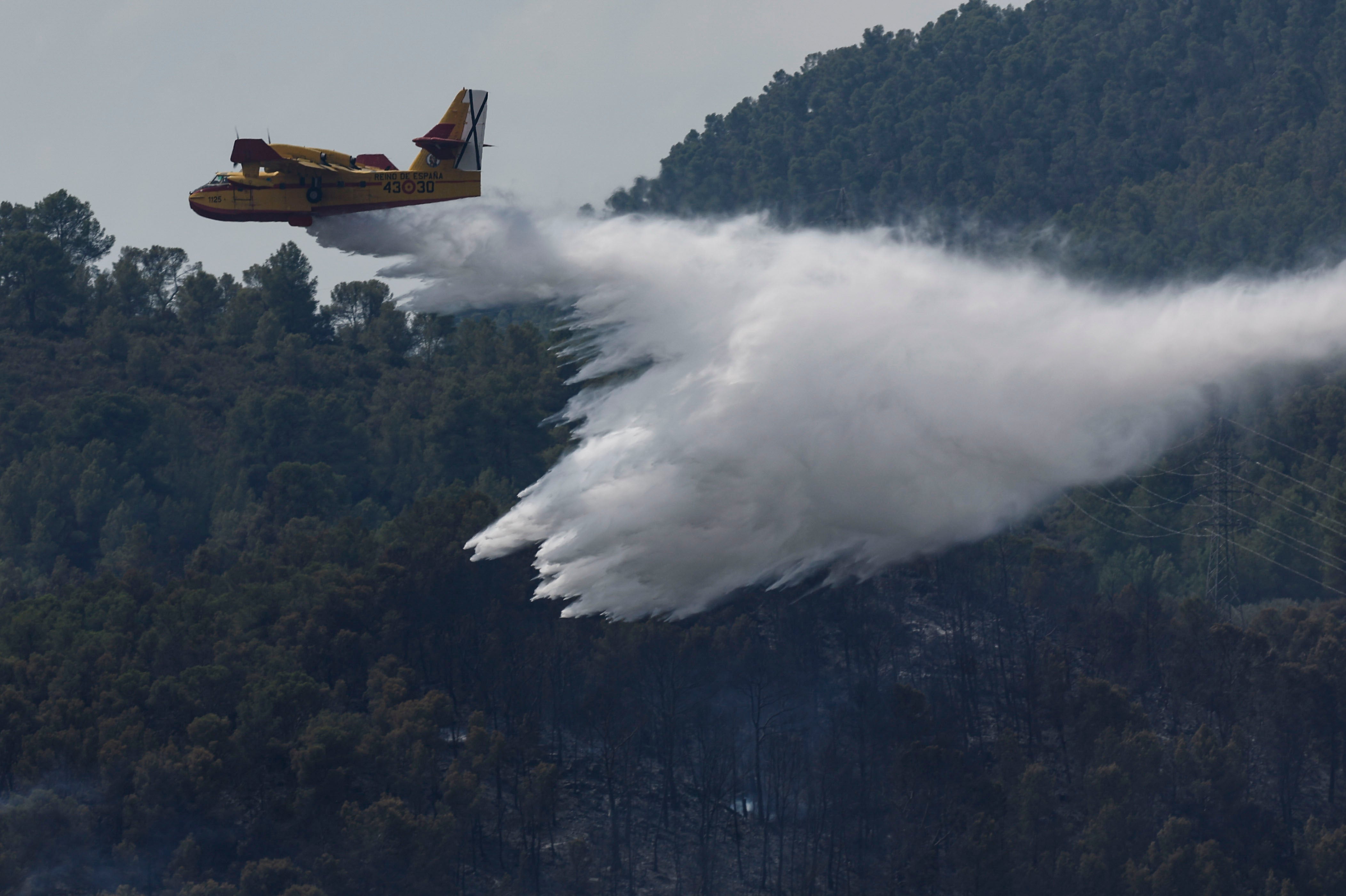 Detenido el supuesto autor del incendio forestal de Tuéjar (Valencia) Detenido el supuesto autor del incendio forestal de Tuéjar (Valencia)