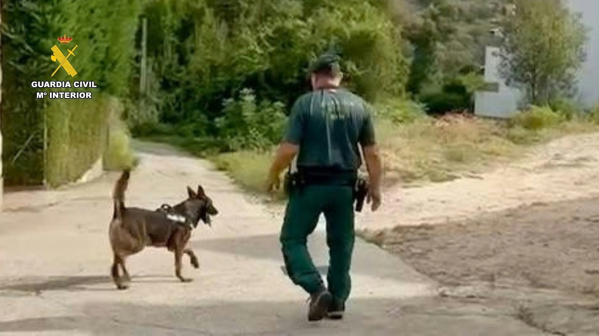 Termina sin resultados el dispositivo de búsqueda del varón desaparecido en Losar la Vera Termina sin resultados el dispositivo de búsqueda del varón desaparecido en Losar la Vera