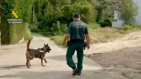 Termina sin resultados el dispositivo de búsqueda del varón desaparecido en Losar la Vera Termina sin resultados el dispositivo de búsqueda del varón desaparecido en Losar la Vera