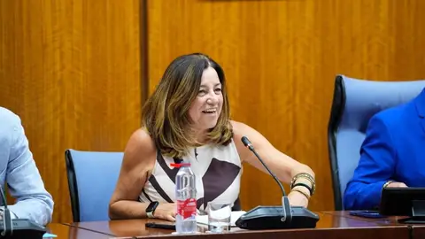 La consejera de Educación de la Junta de Andalucía, María del Carmen Castillo, durante una intervención en el Parlamento andaluz, en una imagen de archivo. La consejera de Educación de la Junta de Andalucía, María del Carmen Castillo, durante una intervención en el Parlamento andaluz, en una imagen de archivo.