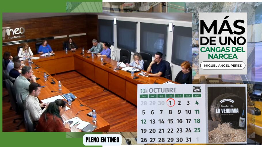 Momento del Pleno Ordinario celebrado este d&iacute;a en Tineo