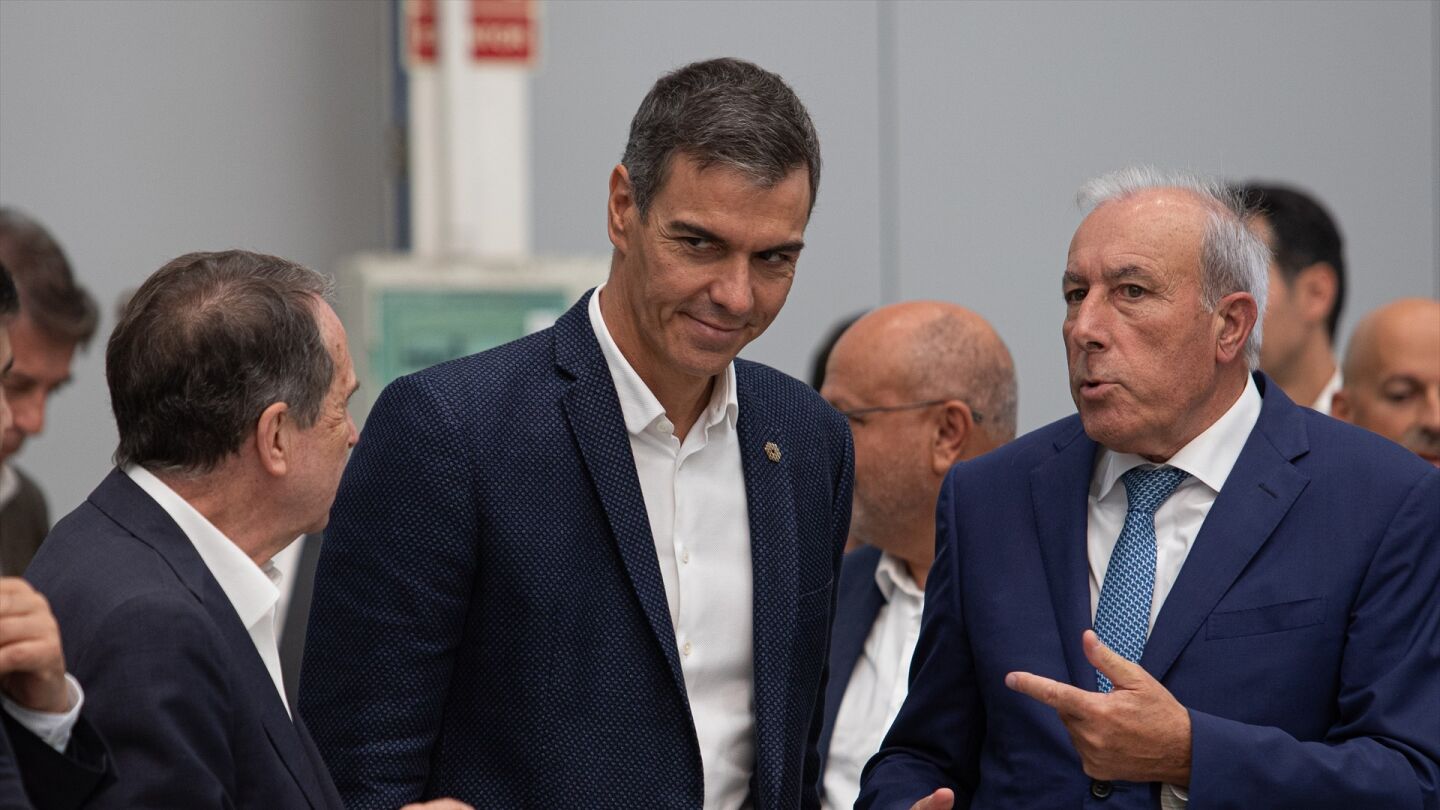 El presidente del Gobierno, Pedro S&aacute;nchez.