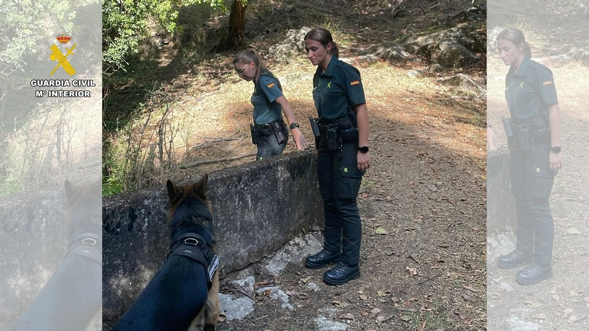 La búsqueda del desaparecido en Losar de la Vera se reanudará este viernes tras concluir sin resultados La búsqueda del desaparecido en Losar de la Vera se reanudará este viernes tras concluir sin resultados