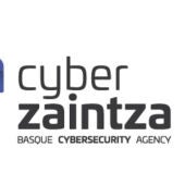 cyberzaintza