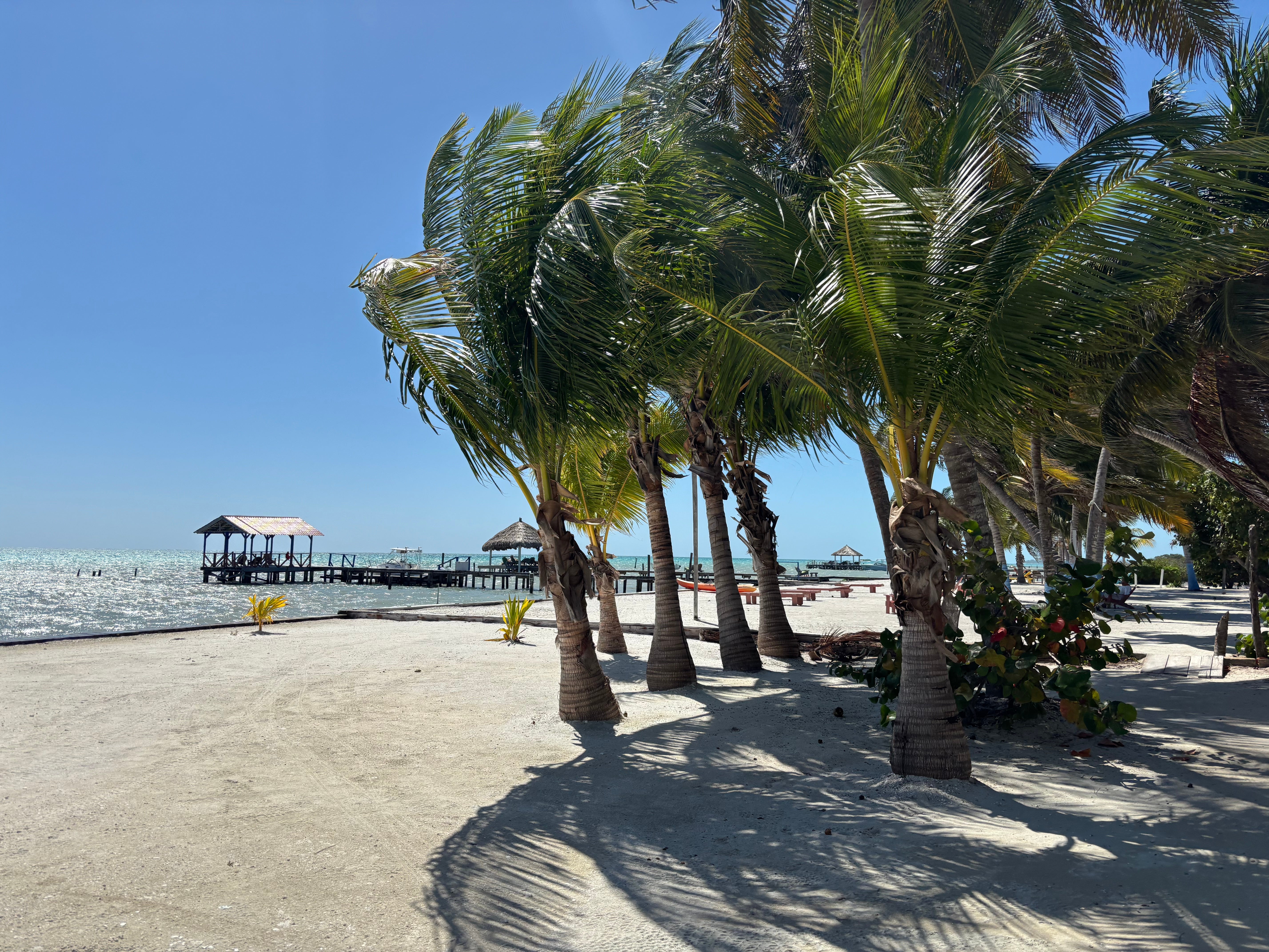 Belice a la parrilla: langosta, caracola y barbacoas junto al mar Belice a la parrilla: langosta, caracola y barbacoas junto al mar