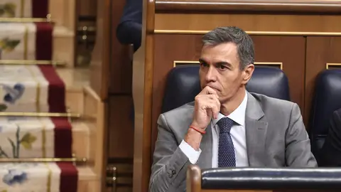 El presidente del Gobierno, Pedro Sánchez, durante el pleno extraordinario sobre vivienda El presidente del Gobierno, Pedro Sánchez, durante el pleno extraordinario sobre vivienda