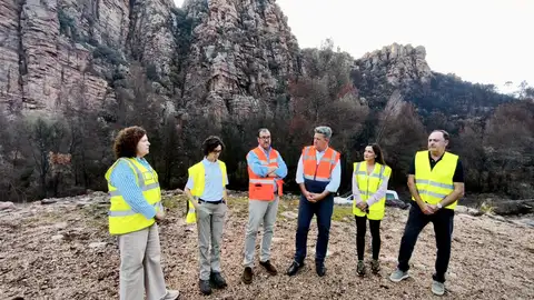La Generalitat eleva a 4,2 millones la inversión para recuperar las zonas afectadas por el incendio de la Vall d’Uixó La Generalitat eleva a 4,2 millones la inversión para recuperar las zonas afectadas por el incendio de la Vall d’Uixó