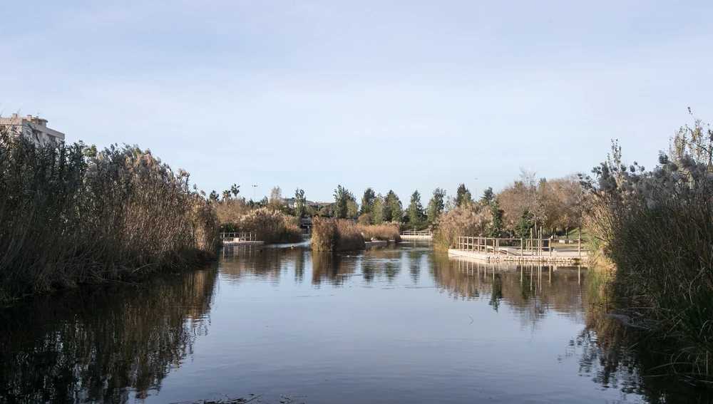 Parque de La Marjal Parque de La Marjal