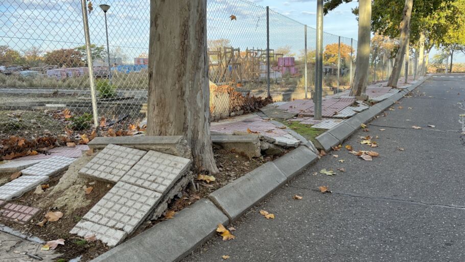 Acera levantada por las ra&iacute;ces de los &aacute;rboles en la calle Josep Pla de Alcal&aacute; de Henares