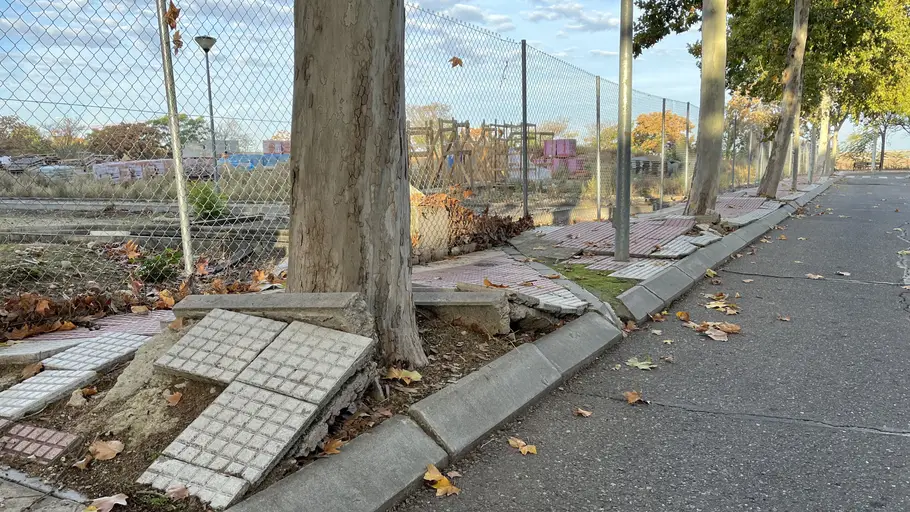 El plan "Alcalá mejora sus barrios" llega en los próximos días a la calle Josep Pla y su entorno Acera levantada por las raíces de los árboles en la calle Josep Pla de Alcalá de Henares