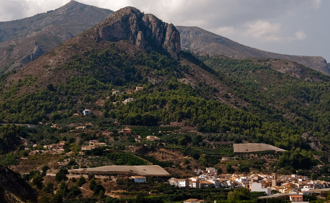 El CEIP Penya l’Hort de Bolulla participa en el proyecto Guardabosc para fomentar la educación ambiental y prevenir incendios forestales El CEIP Penya l’Hort de Bolulla participa en el proyecto Guardabosc para fomentar la educación ambiental y prevenir incendios forestales