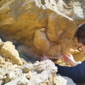 Descubren huellas de dinosaurios en Guadalaviar (Teruel)