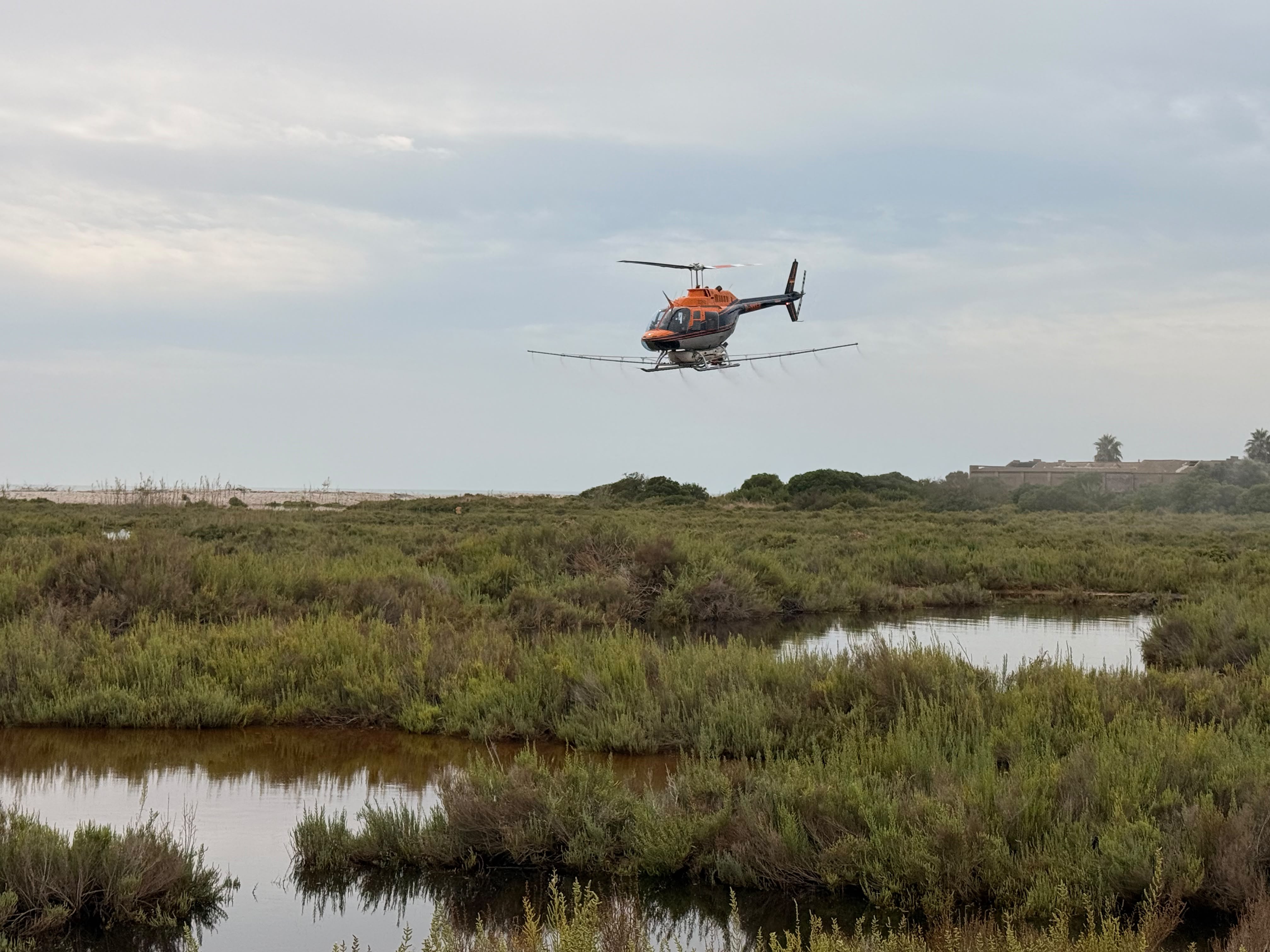 La Diputación de Castellón intensifica los tratamientos contra los mosquitos tras las lluvias La Diputación de Castellón intensifica los tratamientos contra los mosquitos tras las lluvias