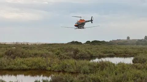La Diputación de Castellón intensifica los tratamientos contra los mosquitos tras las lluvias La Diputación de Castellón intensifica los tratamientos contra los mosquitos tras las lluvias