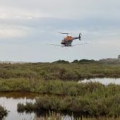 La Diputación de Castellón intensifica los tratamientos contra los mosquitos tras las lluvias