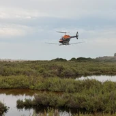 La Diputación de Castellón intensifica los tratamientos contra los mosquitos tras las lluvias La Diputación de Castellón intensifica los tratamientos contra los mosquitos tras las lluvias