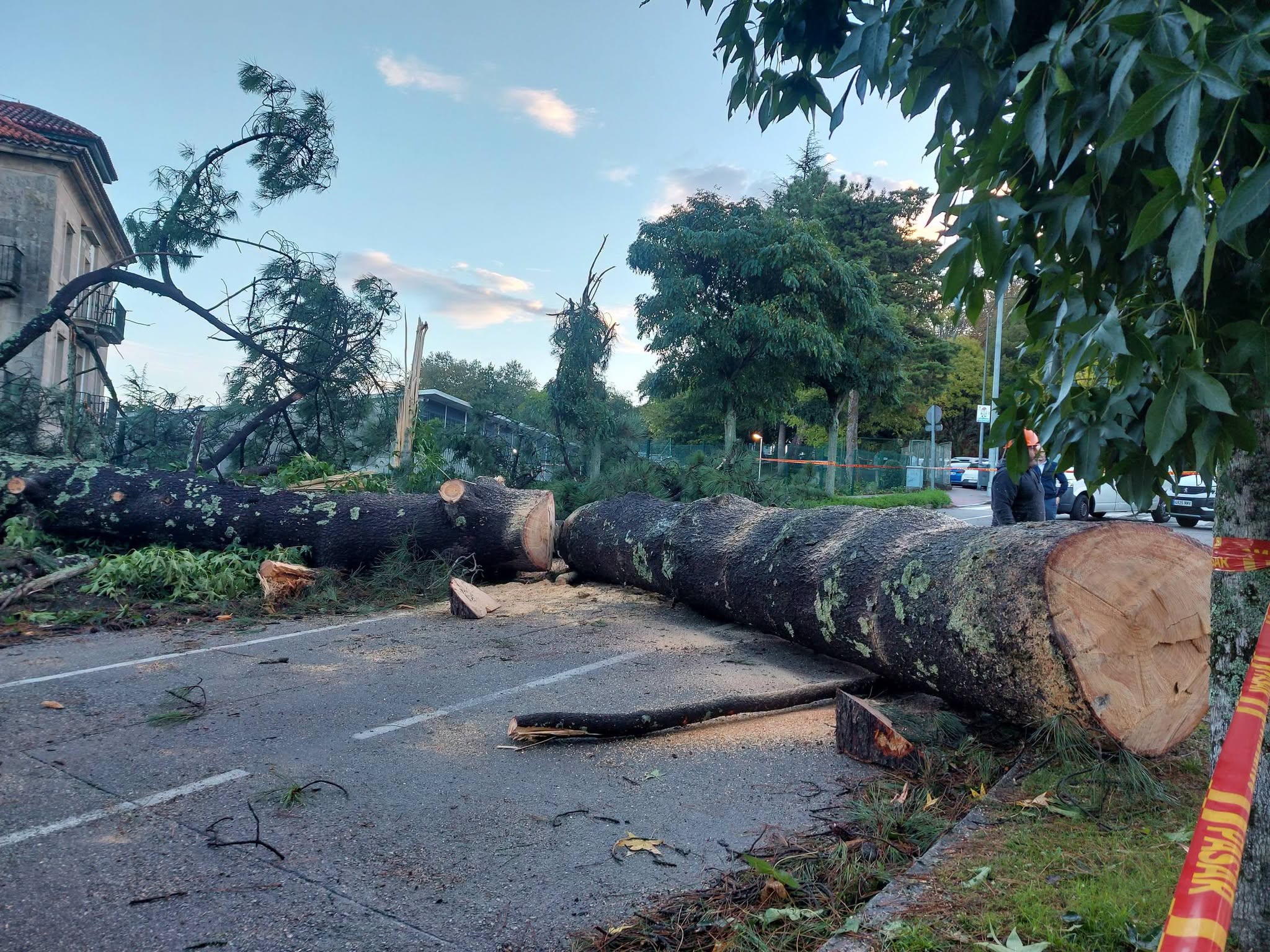 La caída de un árbol de grandes dimensiones obligó a cortar la Avenida das Burgas en Santiago La caída de un árbol de grandes dimensiones obligó a cortar la Avenida das Burgas en Santiago