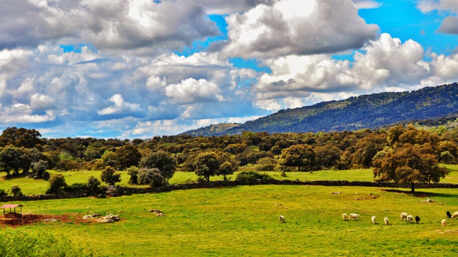 Extremadura - C&aacute;ceres