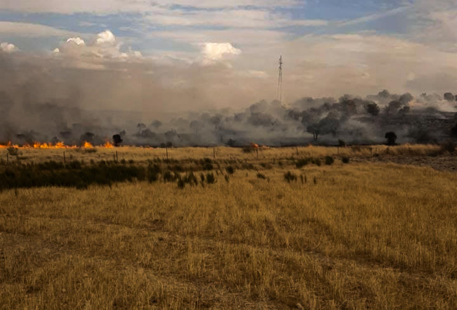 El Infoex interviene en 13 incendios forestales en la última semana, que calcinan 48 hectáreas El Infoex interviene en 13 incendios forestales en la última semana, que calcinan 48 hectáreas