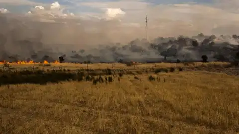 El Infoex interviene en 13 incendios forestales en la última semana, que calcinan 48 hectáreas El Infoex interviene en 13 incendios forestales en la última semana, que calcinan 48 hectáreas