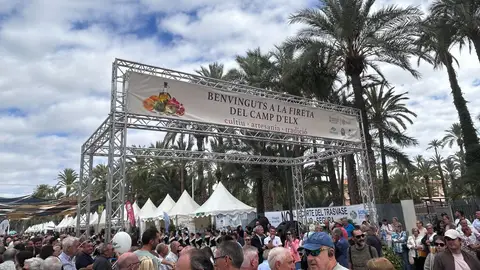 Fireta del Camp d'Elx de 2026. Fireta del Camp d'Elx de 2026.