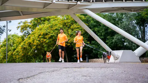 Dos personas corren con sus perros Dos personas corren con sus perros